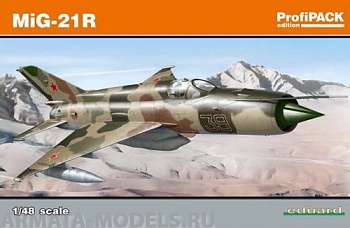 8238 Самолет MiG-21R