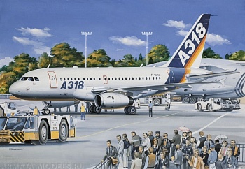 ЕЕ14441 Авиалайнер A-318 121